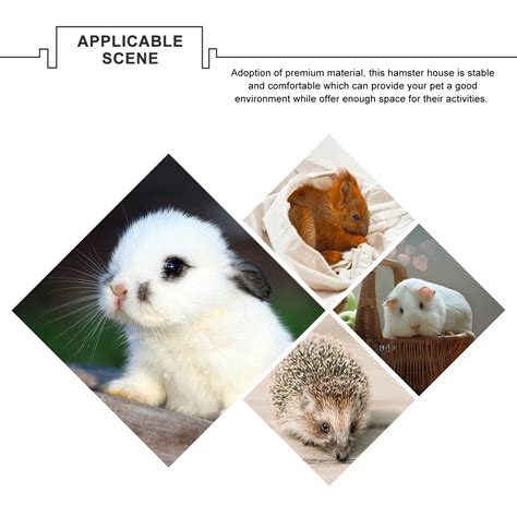hamster house 4