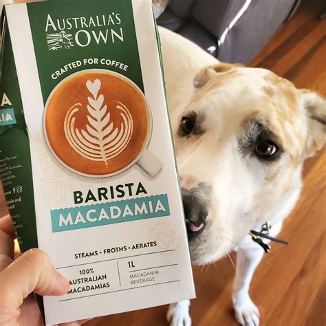 Australias Own Barista Macadamia Milk 评价 Abillion