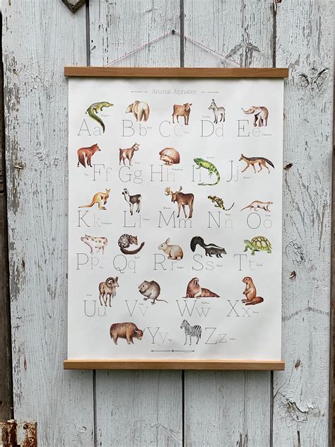 Animal Alphabet Poster - Etsy