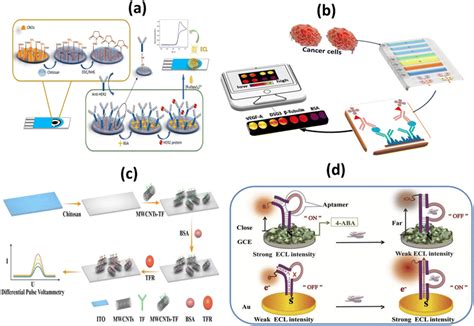 Tailored Point Of Care Biosensors For Liquid Biopsy In The Field Of