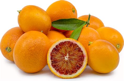 Sanguinelli Blood Oranges Information Recipes And Facts