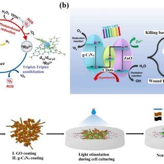 A The Photocatalytic O Generation Mechanism Of Ru G C N In The