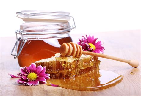 Top Honey Flavors in The World – Hibalife