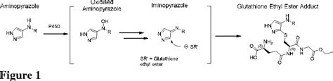 Figure From Evidence For The In Vitro Bioactivation Of Aminopyrazole