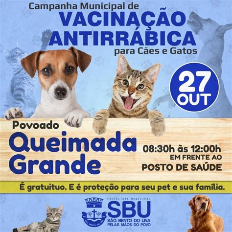 Campanha De Vacina O Antirr Bica Para C Es E Gatos Prefeitura De S O