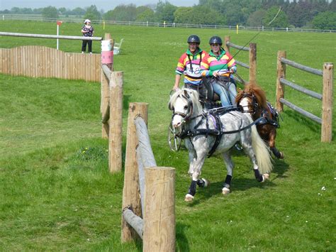 Tandem Of Welsh Section A Ponies British Carriage Driving