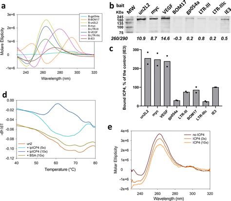 ICP4 binding and unfolding of G4-folded oligonucleotides a CD spectra ... 