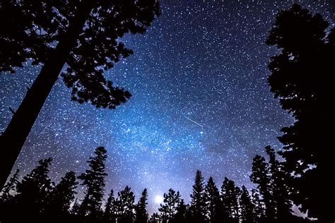 Forest Star Gazing An Astronomy Delight Photograph by James BO Insogna - Pixels