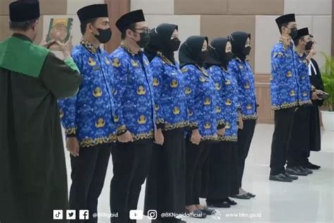 Manfaat Tenaga Honorer Dalam Berbagai Sektor Cek Deretan Daftarnya Di