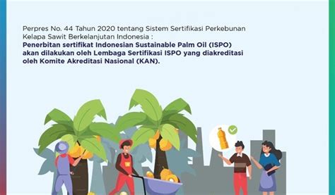 Perkuat Kelapa Sawit Kan Akreditasi Lembaga Sertifikasi Ispo Itworks