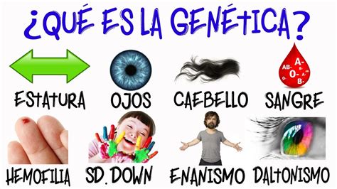 💉 ¿qué Es La GenÉtica 🐑 Fácil Y Rápido BiologÍa Youtube