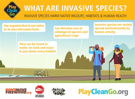 Stop Invasive Species During PlayCleanGo Awareness Week