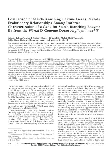 Pdf Comparison Of Starch Branching Enzyme Genes Reveals Evolutionary