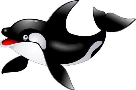 Orca Whale Digital Clip Art - Digital File - Killer Whale Clipart ...