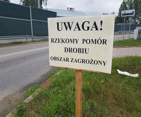 Pom R Drobiu Na Podlasiu Ju Cztery Potwierdzone Ogniska W Regionie