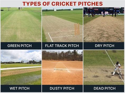 Cricket Pitch Length - 10 Must know things - Ball Bits Cricket Pitch ...