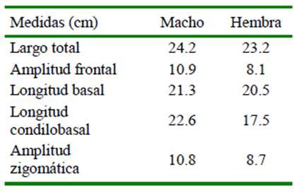 Descripci N Osteol Gica De La Taruca Hippocamelus Antisensis D