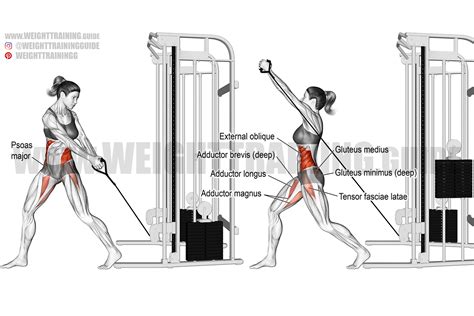 Adductor Cable Exercise Off