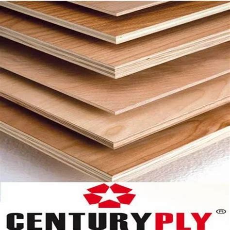 Mm Centuryply Plywood Century Ply Latest Price Dealers