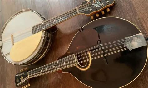 Mandolin Vs Banjo How To Choose The Instrument