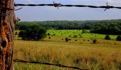 Pasture Fence – Meyer Grading