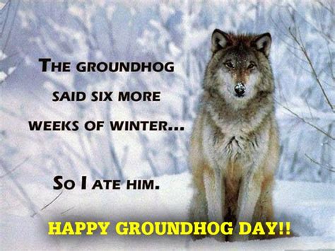 A Sunny, Frigid Groundhog Day in Mid Michigan – Mid Michigan Weather