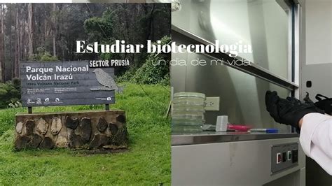 Estudiando Biotecnologia En Costa Rica I Vlog De Un D A De Mi Pr Ctica