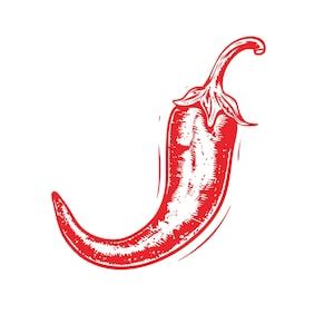 Chili SVG Chili Pepper Png Hot Pepper Svg Gardening Hot Sauce Pepper Design Svg Spicy Svg