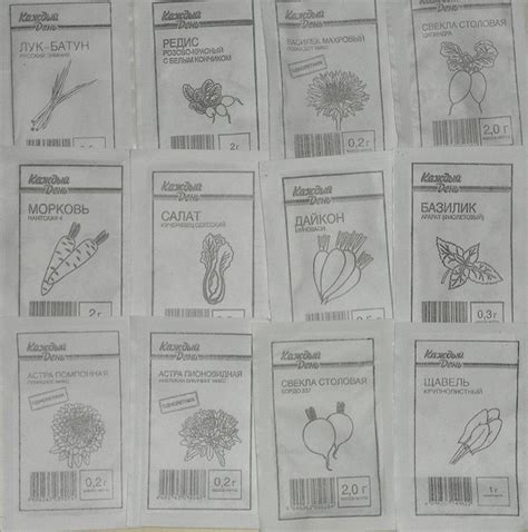 Семена в дар (Саратов). Дарудар