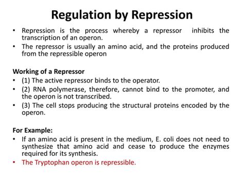 Protein Synthesis In Prokaryotespptx