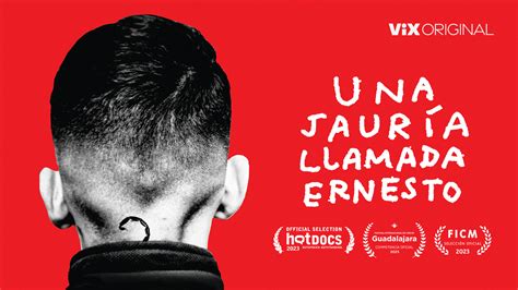 Una Jauría Llamada Ernesto El Documental Que Retrata Una Dura Realidad Llega A Vix