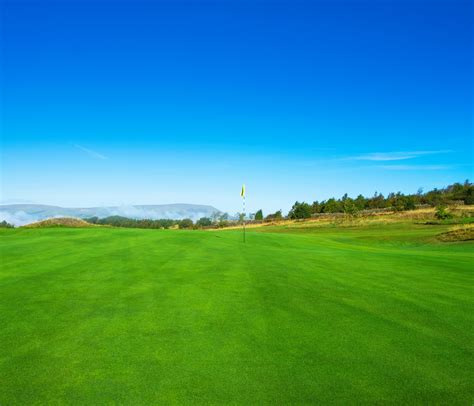 the nelson golf and sports club 5