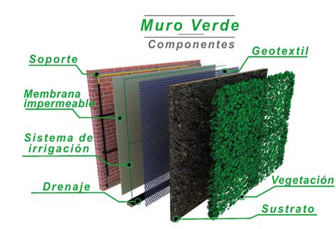 La Arquitectura Se Viste De Verde Con Muros Vivos