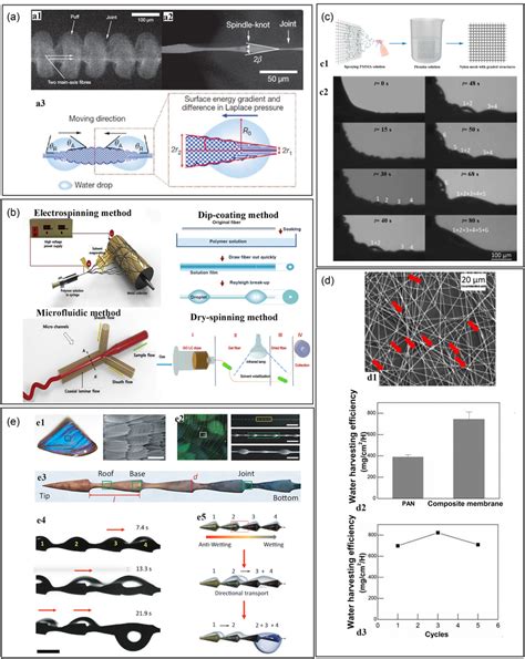 Water Transport Mechanism Of Spider Silk And Its Bioinspired Materials