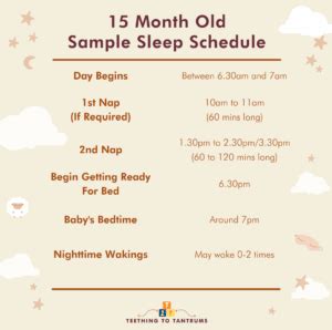 15 Month Old Sleep Schedule: Your Guide To Perfect Zzz