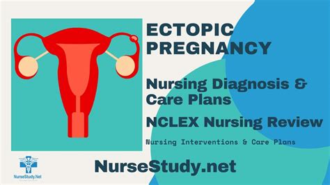 Ectopic Pregnancy Nursing Diagnosis Care Plan NurseStudy Net