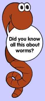 Worm Facts | The Adventures of Herman the Worm | U of I Extension