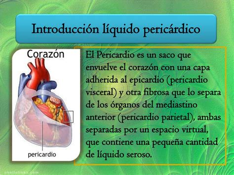 PPT Liquido Pleural Y Liquido Pericardico PowerPoint Presentation