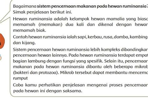 Ini Kunci Jawaban Kelas 5 Sd Tema 3 Subtema 1 Halaman 6 7 8 9