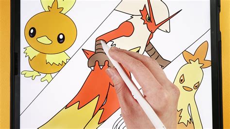 포켓몬 그리기 How To Draw pokemon Torchic Combusken Blaziken easy drawing