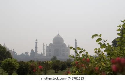 View Taj Mahal Mehtab Bagh Gardens Stock Photo 797685739 | Shutterstock