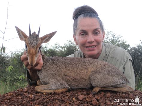 Hunting Gunthers Dik Dik Uganda