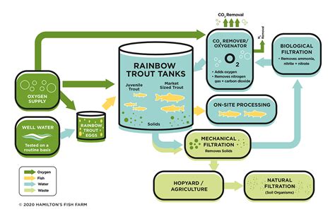 Aquaculture Fish Farming Diagrams