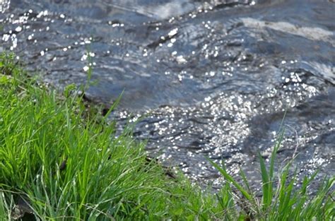 今はなに釣りシーズン？季節・時期ごとに釣れる人気魚種を海・淡水別にご紹介！ Tsuri Hack 釣りハック