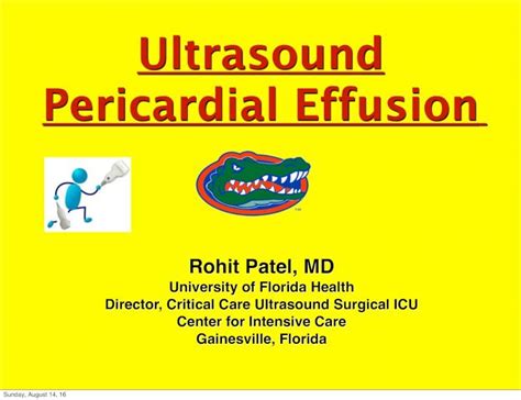 Pdf Ultrasound Pericardial Effusion University Of Florida