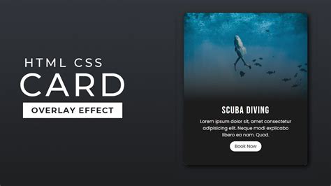 Responsive CSS Cards With Hover Overlay Animation YouTube