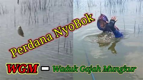 Perdana Mancing Nyobok Di WGM YouTube