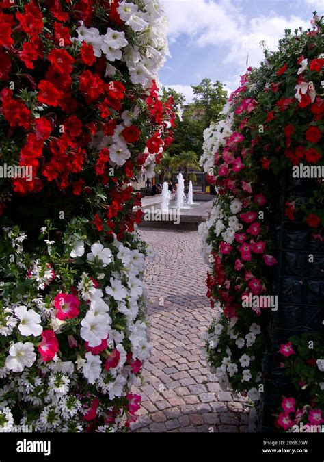 Sidewalk Planters Hi Res Stock Photography And Images Alamy