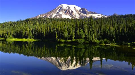 Mt Rainier National Park Washingtons Peak Of The State Youtube