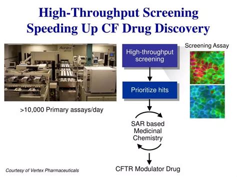 Ppt High Throughput Screening Speeding Up Cf Drug Discovery Powerpoint Presentation Id2314825